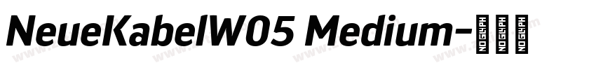 NeueKabelW05 Medium字体转换